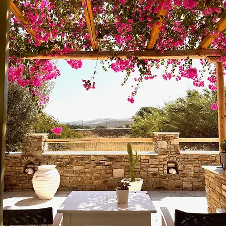 Aegeo * Antiparos Town